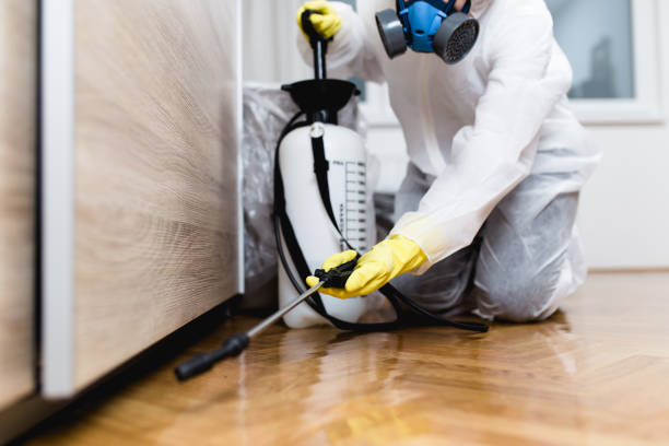 Best Ant Control Services  in Mammoth Spring, AR