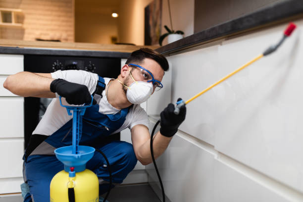 Best Affordable Pest Control Services  in Mammoth Spring, AR