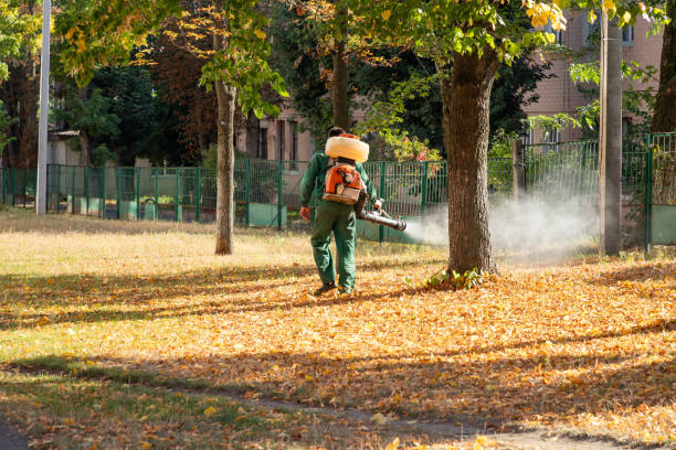 Best Cockroach Control Services  in Mammoth Spring, AR