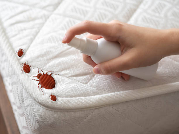 Best Residential Pest Control  in Mammoth Spring, AR